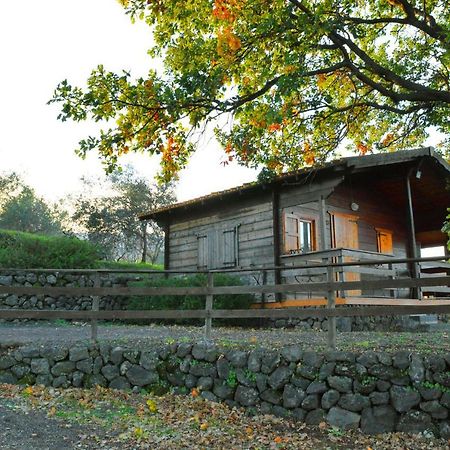 Agriturismo Kikajon Linguaglossa Exteriör bild