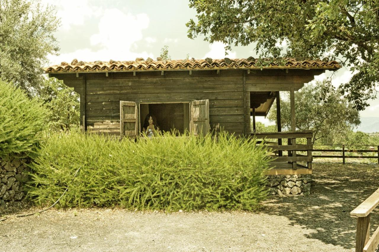 Agriturismo Kikajon Linguaglossa Exteriör bild