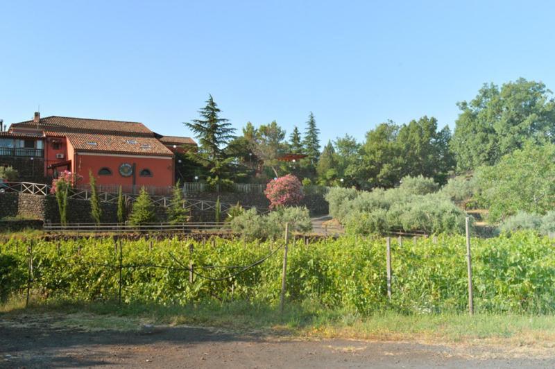 Agriturismo Kikajon Linguaglossa Exteriör bild