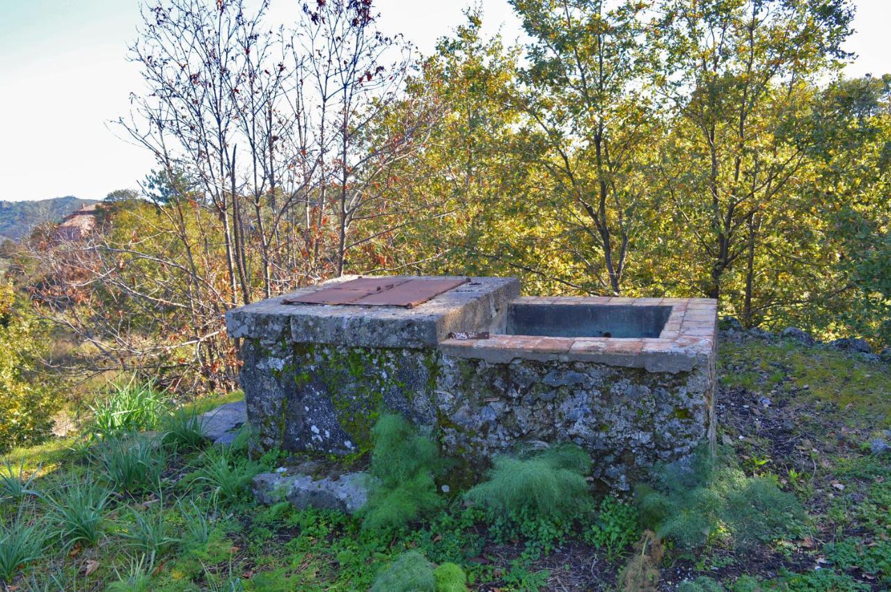 Agriturismo Kikajon Linguaglossa Exteriör bild