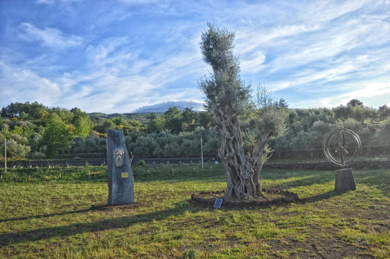 Agriturismo Kikajon Linguaglossa Exteriör bild