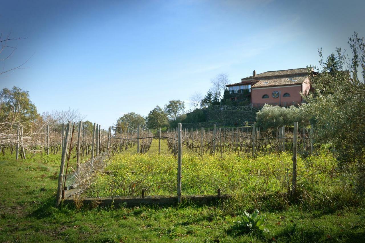 Agriturismo Kikajon Linguaglossa Exteriör bild
